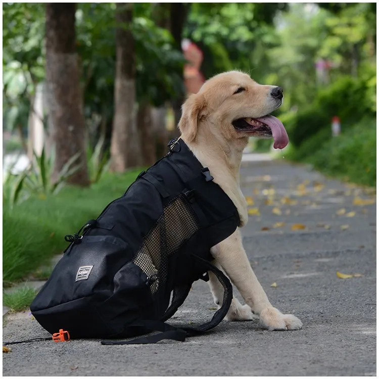 Mochila de viaje para transportar mascotas, bolsa de malla transpirable para deportes al aire libre, bicicleta, motocicleta, senderismo, envío directo - Imagen 7