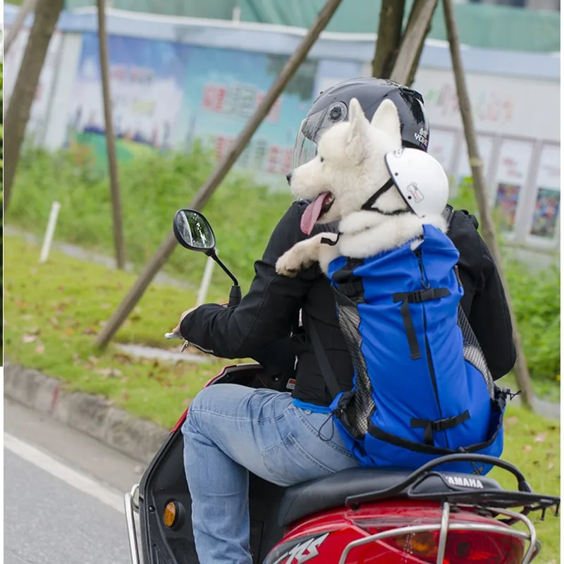 Mochila de viaje para transportar mascotas, bolsa de malla transpirable para deportes al aire libre, bicicleta, motocicleta, senderismo, envío directo - Imagen 9