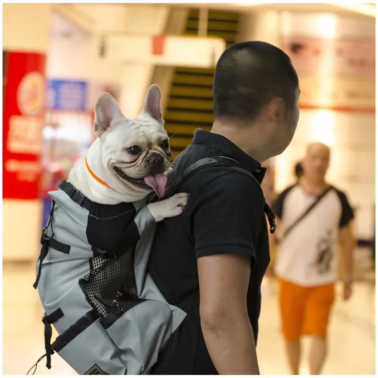 Mochila de viaje para transportar mascotas, bolsa de malla transpirable para deportes al aire libre, bicicleta, motocicleta, senderismo, envío directo - Imagen 18