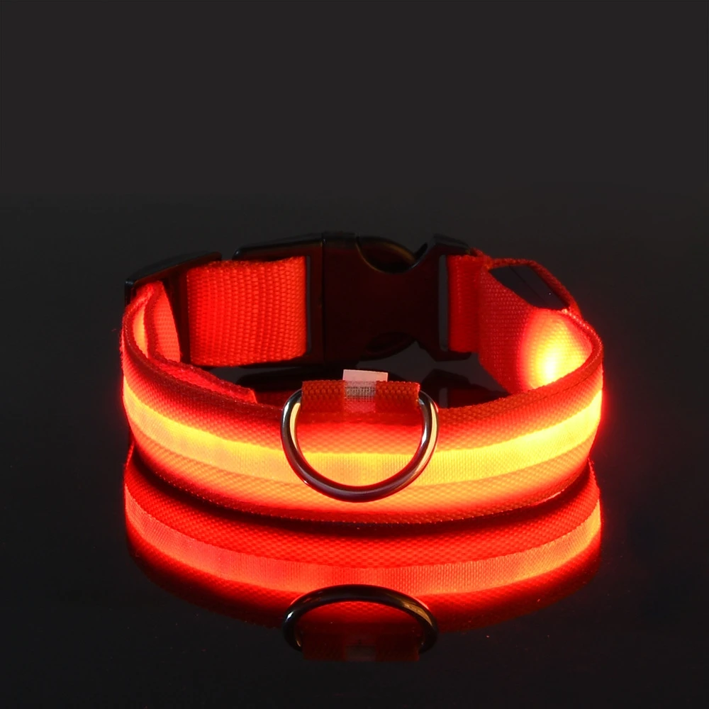 Correa LED de nailon para perro, seguridad nocturna, parpadeante, que brilla en la oscuridad, luminosa, fluorescente, para mascota - Imagen 9