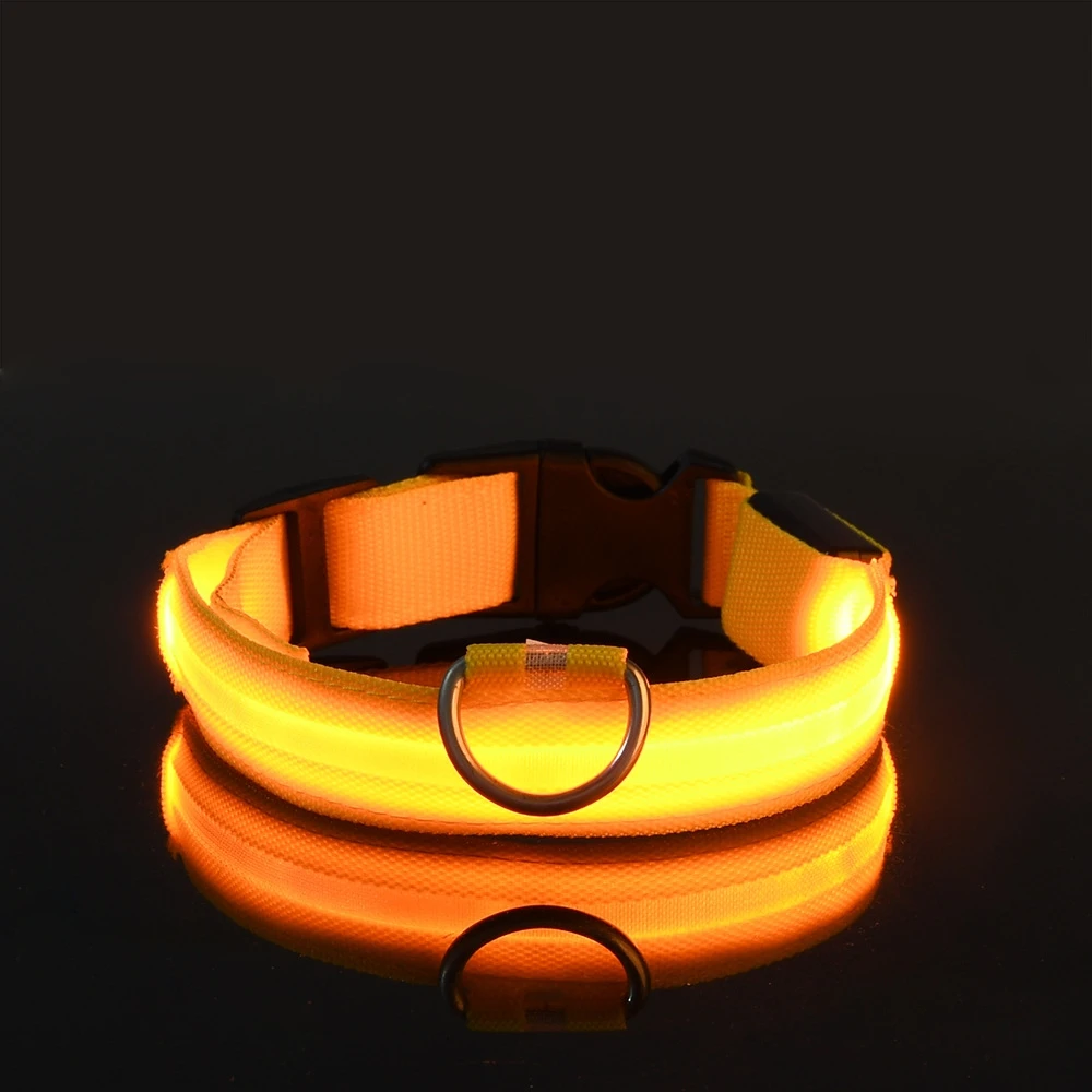 Correa LED de nailon para perro, seguridad nocturna, parpadeante, que brilla en la oscuridad, luminosa, fluorescente, para mascota - Imagen 12