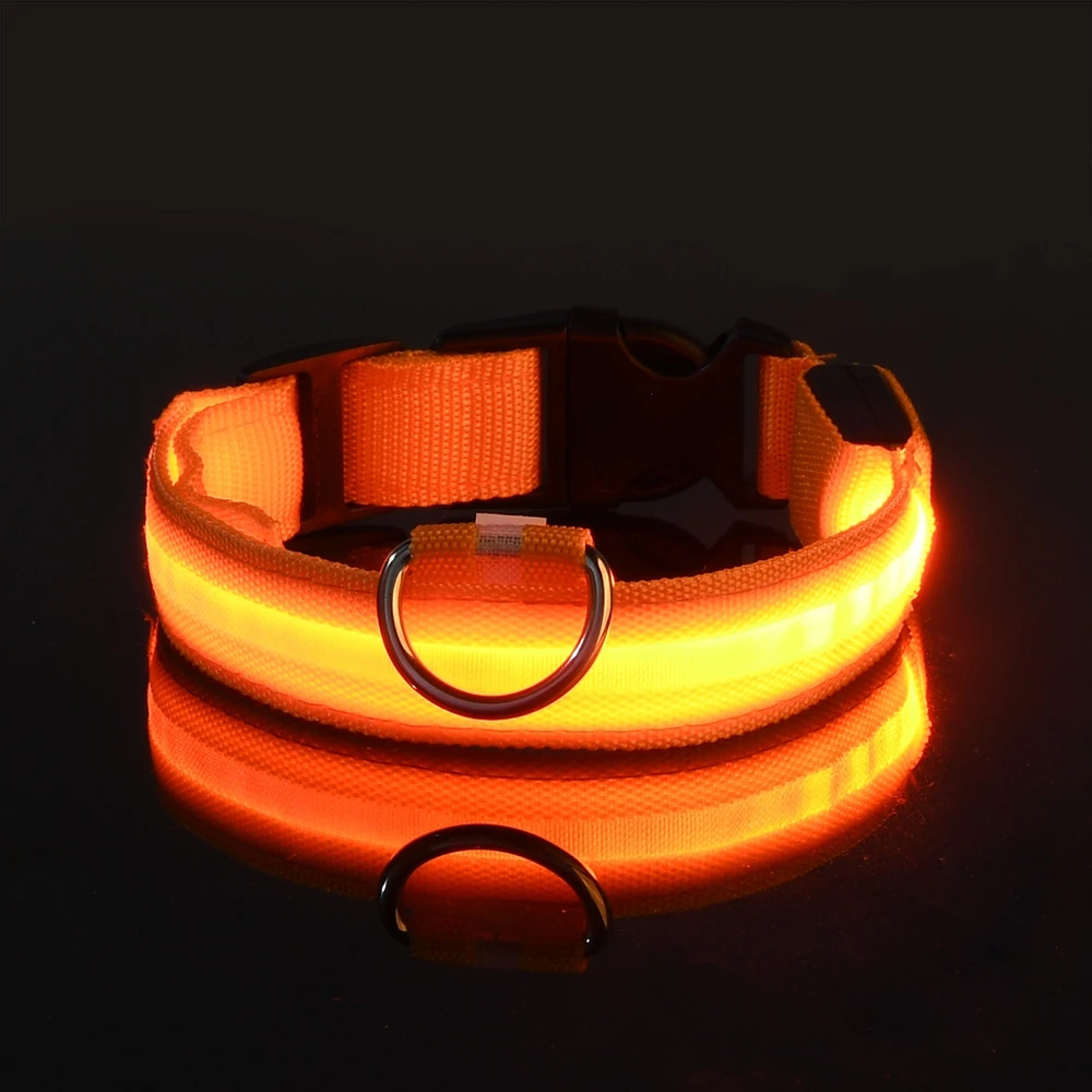 Correa LED de nailon para perro, seguridad nocturna, parpadeante, que brilla en la oscuridad, luminosa, fluorescente, para mascota - Imagen 11
