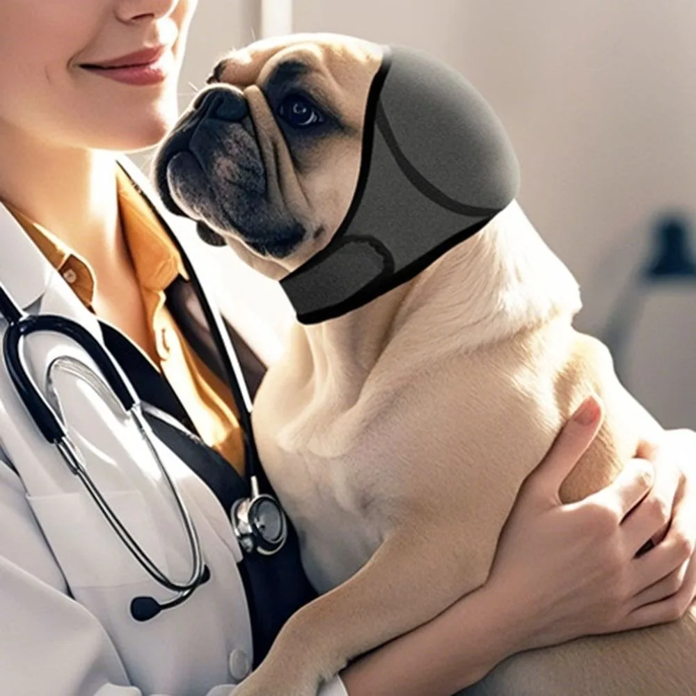 Protección auditiva para perros, orejeras calmantes con reducción de ruido, impermeable, calmante para perros, orejeras para perros a prueba de golpes - Imagen 15