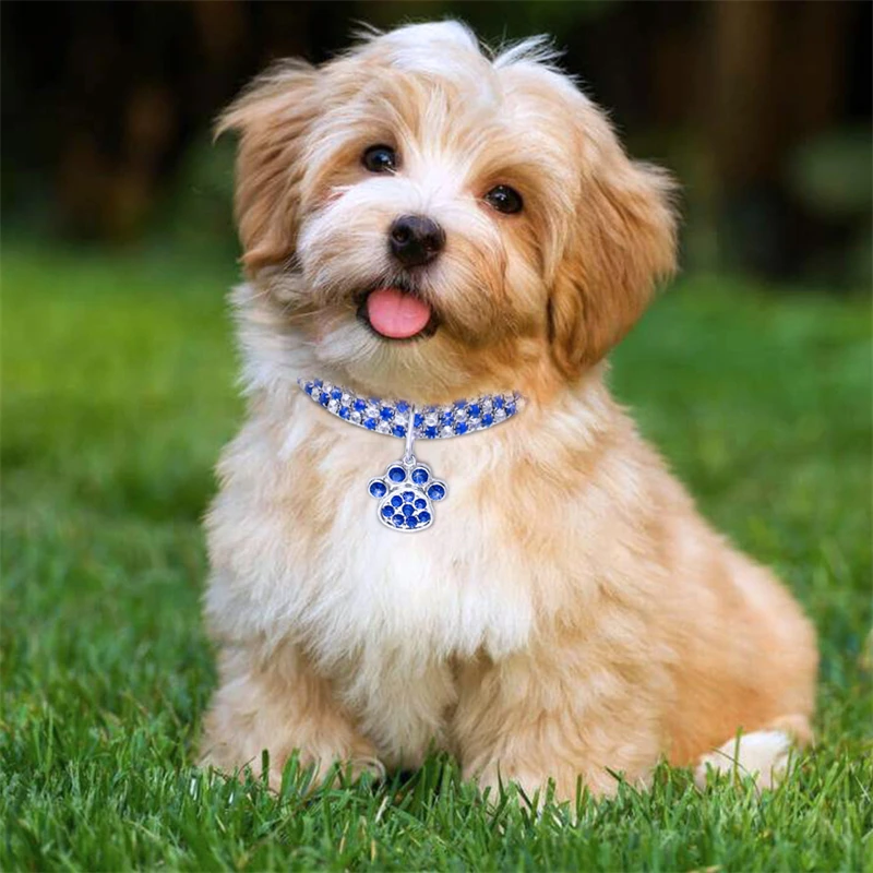 Collares de cuello de perro de circón brillante, collar de cadena extendida de aleación duradera para mascotas pequeñas y medianas, regalos de fiesta rosa, collar para perros y gatos - Imagen 21