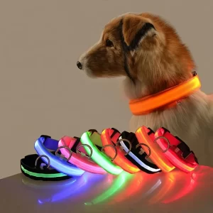 Correa LED de nailon para perro, seguridad nocturna, parpadeante, que brilla en la oscuridad, luminosa, fluorescente, para mascota