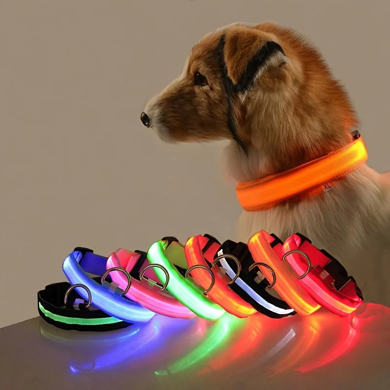 Correa LED de nailon para perro, seguridad nocturna, parpadeante, que brilla en la oscuridad, luminosa, fluorescente, para mascota