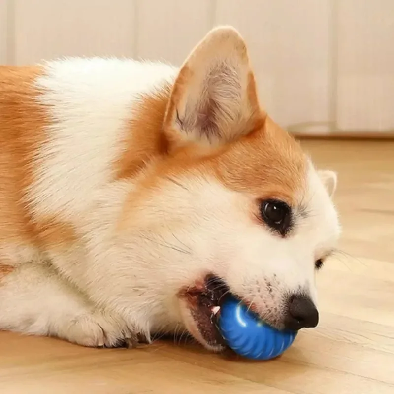 Pelota de juguete para perros, pelota rodante que rebota en movimiento automático, USB, cachorro inteligente, pelota interactiva de juguete para masticar para perros - Imagen 3