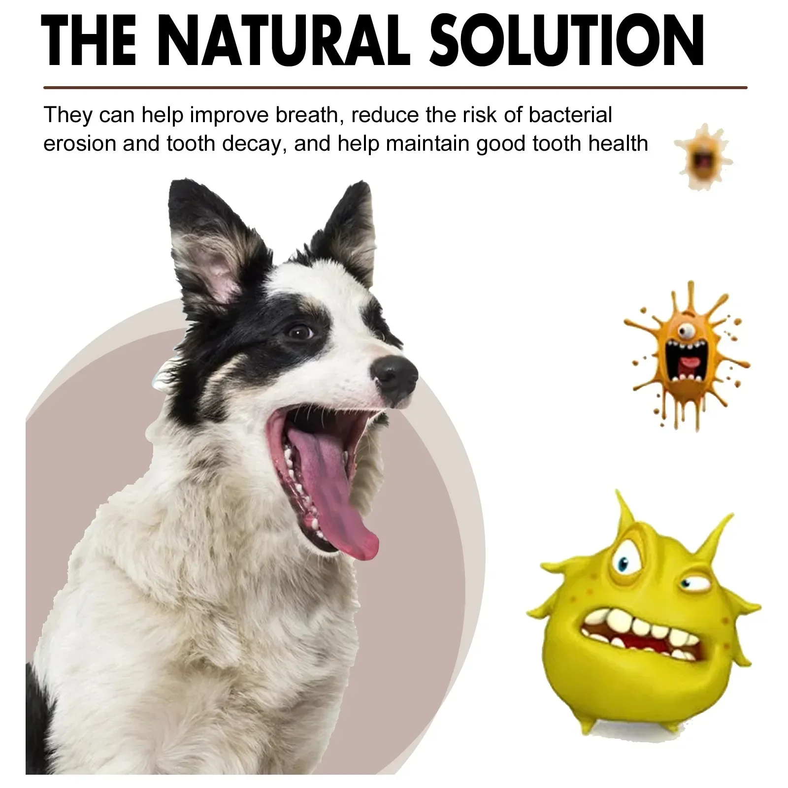 Spray de limpieza Dental para mascotas, ambientador para perros que elimina el mal aliento, limpieza Oral para gatos, cuidado Dental, desodorización, suministros para mascotas, 30ml - Imagen 5