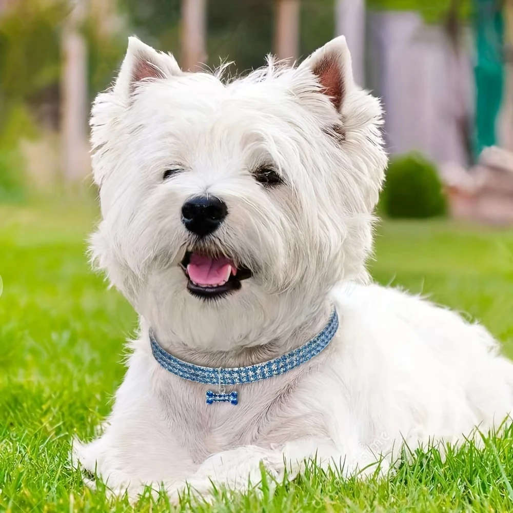 Collar ajustable para mascotas Bling Bone para perros pequeños y gatos, accesorio bonito y elegante para cachorros, añade estilo y glamour - Imagen 3