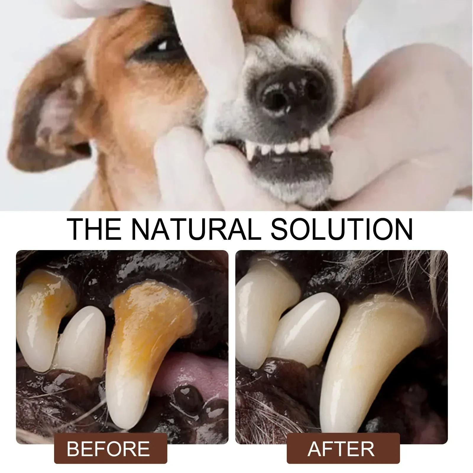 Spray de limpieza Dental para mascotas, ambientador para perros que elimina el mal aliento, limpieza Oral para gatos, cuidado Dental, desodorización, suministros para mascotas, 30ml - Imagen 4