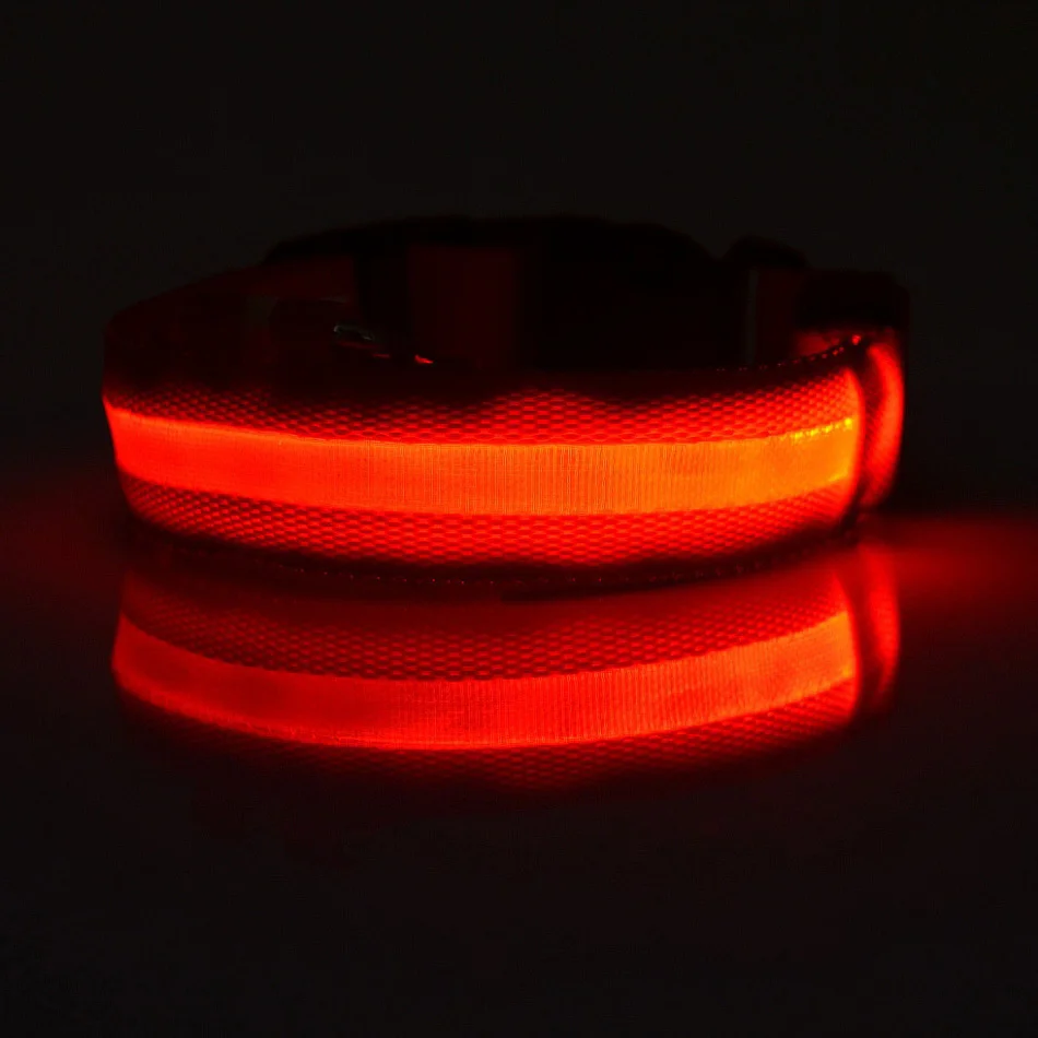 Correa LED de nailon para perro, seguridad nocturna, parpadeante, que brilla en la oscuridad, luminosa, fluorescente, para mascota - Imagen 21