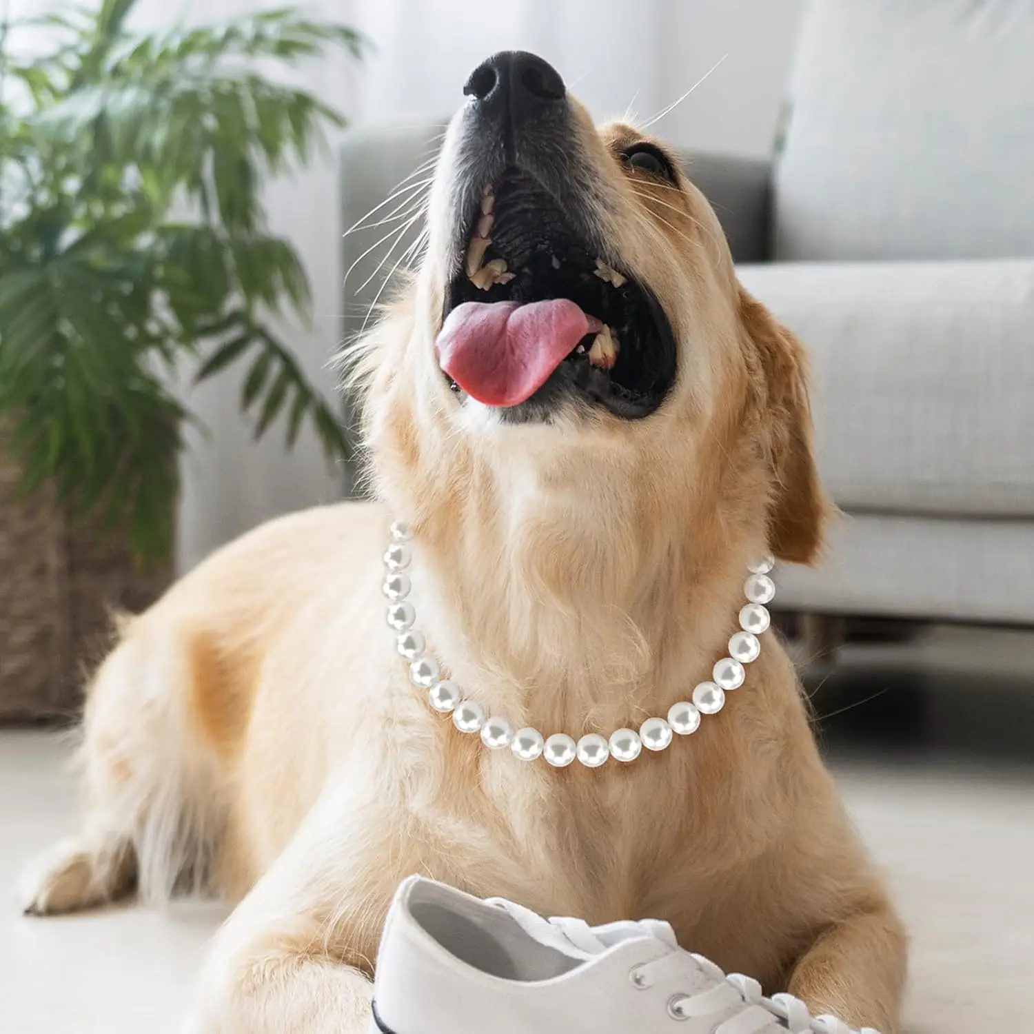 Collar de perlas para perros de 12-22 pulgadas, Collar de perlas ajustable y elegante para mascotas, accesorios para collares de joyería para perros pequeños, medianos y grandes - Imagen 10