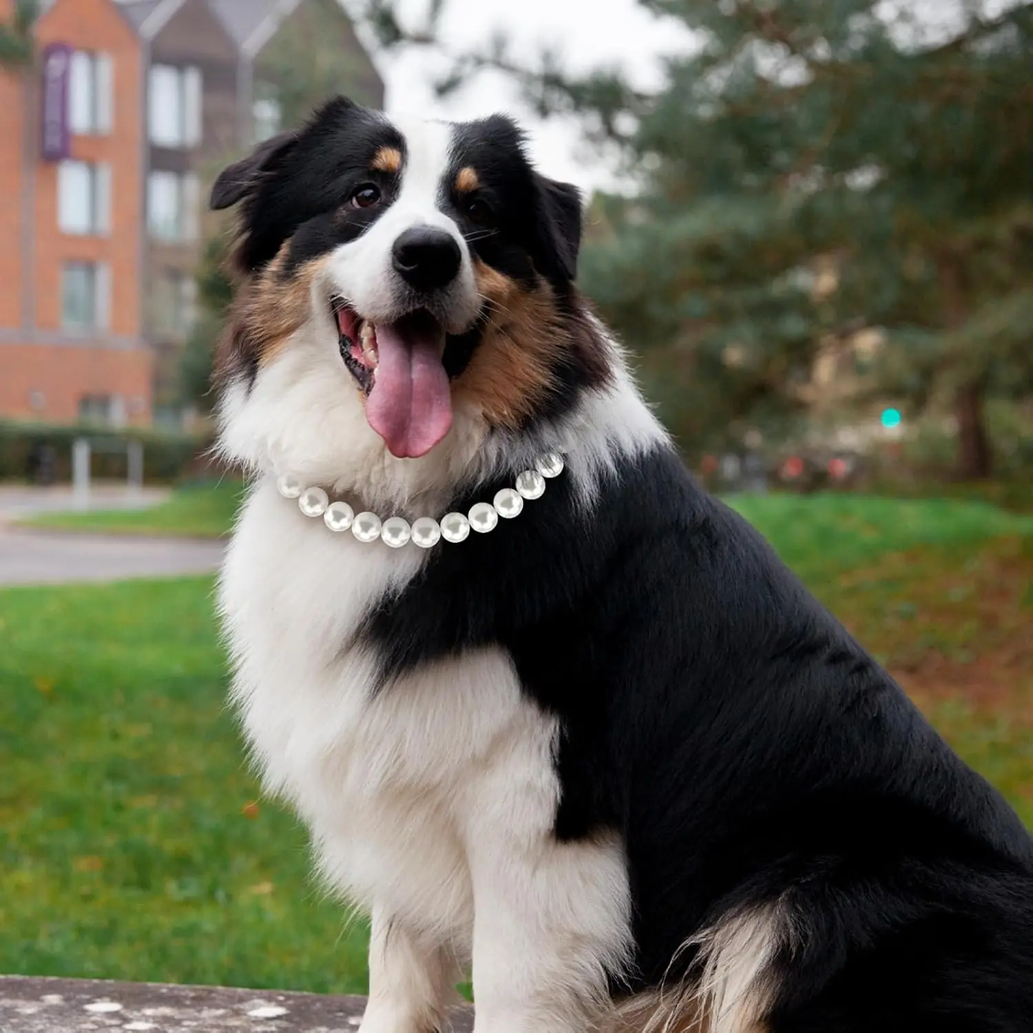 Collar de perlas para perros de 12-22 pulgadas, Collar de perlas ajustable y elegante para mascotas, accesorios para collares de joyería para perros pequeños, medianos y grandes - Imagen 11
